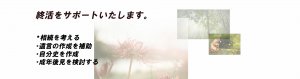 松井行政書士事務所のトップ画像